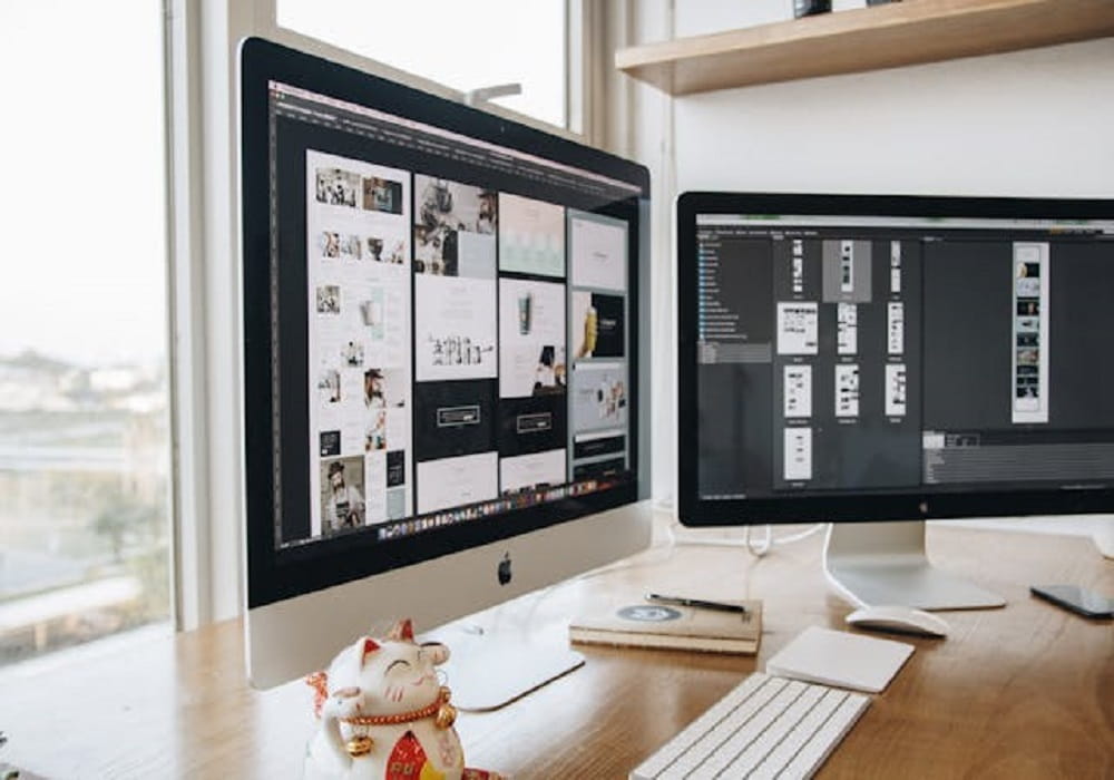 best web development company in jaipur