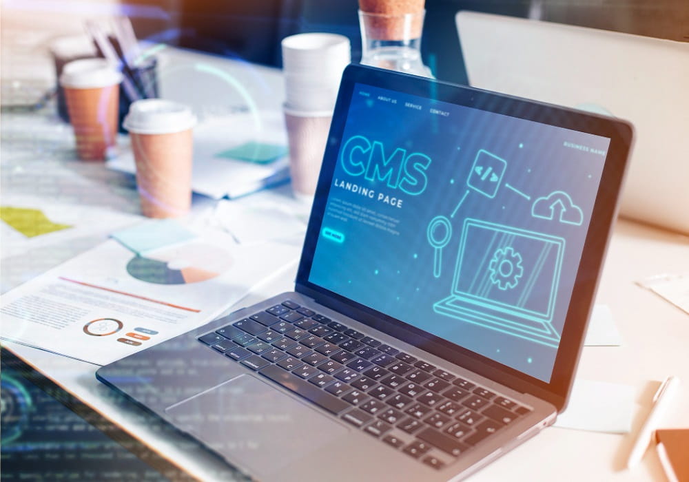 wordpress development company in mansarovar